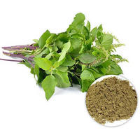 Aryaa Holy Basil Powder 200gm