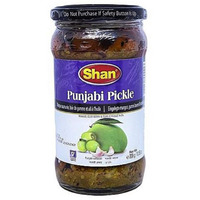 Shan Punjabi Pickle 300 gms