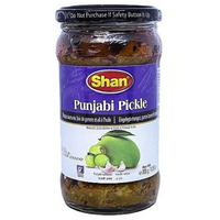 Shan Punjabi Pickle 300 gms