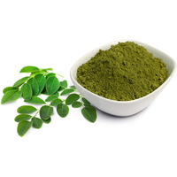 Himalayan Jadibuti Moringa Powder 100 gm