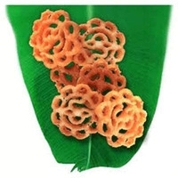 High Range Achappam 200 gms
