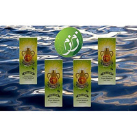 Zamzam Drinking Water 16.5 fl.oz. Pack of 4 - From Mecca Saudi Arabia -      4