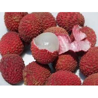 Fresh Lychee Fruit 2 Pounds