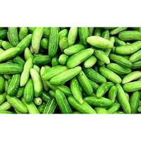 10pcs Ivy Gourd Vegetable Seeds kechondr