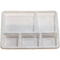 White 5 Compartment Plate