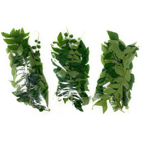 Rani Fresh Curry Leaves 3oz (Pack of 3 x 1oz) ~All Natural | Vegan | Gluten Friendly | NON-GMO