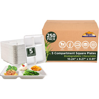 Rani 5 Compartment Square Biodegradable Divided Plates, Pack of 250 ~ Party, Thali, Buffet, Disposable & Eco-Friendly, Heavy-Duty Sturdy Paper Bagasse, Premium Quality, 10.24  x 8.27  x 0.91