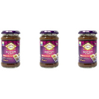 Pack of 3 - Patak's Biryani Curry Spice Paste Medium - 10 Oz (283 Gm)