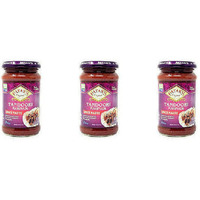 Pack of 3 - Patak's Tandoori Marinade Spice Paste Mild - 11 Oz (312 Gm)