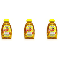 Pack of 3 - Dabur Honey - 16 Oz (479.10 Gm)