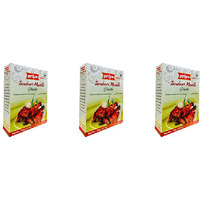 Pack of 3 - Priya Tandoori Masala Powder - 100 Gm (3.5 Oz)