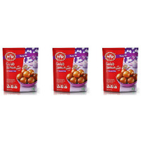 Pack of 3 - Mtr Sweet Mix Gulab Jamun -  500 Gm (17 Oz)