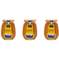 Pack of 3 - Alshifa Acacia Honey - 250 Gm (8.8 Oz)