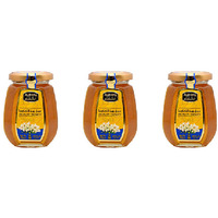 Pack of 3 - Alshifa Acacia Honey - 250 Gm (8.8 Oz)