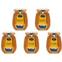 Pack of 5 - Alshifa Acacia Honey - 250 Gm (8.8 Oz)