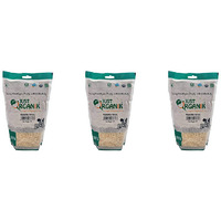 Pack of 3 - Just Organik Organic Tur Dal - 2 Lb (908 Gm)