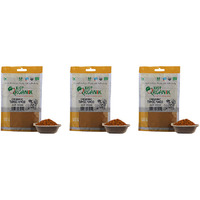 Pack of 3 - Just Organik Organic Turmeric Haldi Powder - 100 Gm (3.5 Oz)