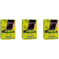 Pack of 3 - Hesh Herbal Amla Powder - 100 Gm (3.5 Oz)