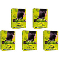 Pack of 5 - Hesh Herbal Amla Powder - 100 Gm (3.5 Oz)