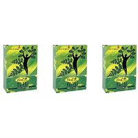 Pack of 3 - Hesh Herbal Tulsi Leaves Powder - 100 Gm (3.5 Oz)