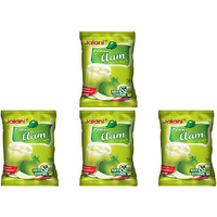 Pack of 4 - Jalani Pudina Aam Panna Mix  - 100 Gm (3.5 Oz)
