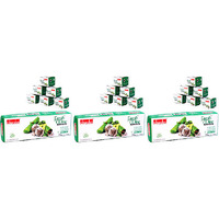 Pack of 3 - Chandan Mouth Freshener Fresh Mint - 72 Gm (2.54 Oz)