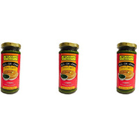 Pack of 3 - Mother's Recipe All In One Chutney - 250 Gm (8.8 Oz)