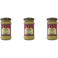 Pack of 3 - Deep Garlic Paste - 10 Oz (283 Gm)