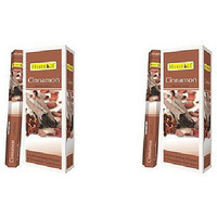 Pack of 2 - Heritage Cinnamon Agarbatti Incense Sticks - 120 Pc