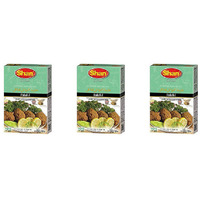 Pack of 3 - Shan Falafel Spice Mix - 150 Gm (5.3 Oz)
