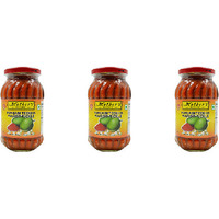 Pack of 3 - Mother's Recipe Punjabi Teekha Mango - 500 Gm (1.1 Lb)