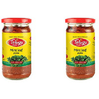 Pack of 2 - Telugu Mint Leaf Pickle With Garlic - 300 Gm (10.58 Oz)