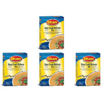 Pack of 4 - Shan Easy Cook Haleem Mix - 300 Gm (10.5 Oz)
