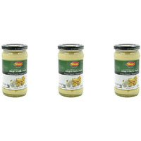 Pack of 3 - Shan Ginger Garlic Paste - 310 Gm (10.93 Oz)