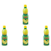 Pack of 4 - Realemon 100% Lemon Juice - 443 Ml (15 Fl Oz)