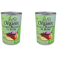 Pack of 2 - Jiva Organics Organic Banana Blossom In Brine - 13 Oz (370 Gm)
