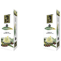 Pack of 2 - Zed Black Eucalyptus Premium Agarbatti Incense Sticks - 120 Pc