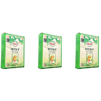Pack of 3 - Ayur Herbals Mint Face Pack - 100 Gm (3.5 Oz)