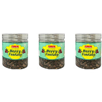 Pack of 3 - Chandan Berry Fantasy Mouth Freshener - 150 Gm (5.2 Oz)