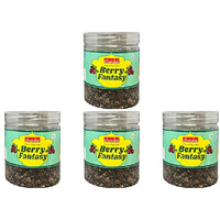 Pack of 4 - Chandan Berry Fantasy Mouth Freshener - 150 Gm (5.2 Oz)