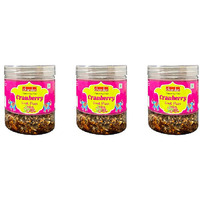 Pack of 3 - Chandan Cranberry Fruit Paan Mouth Freshener - 150 Gm (5.2 Oz)