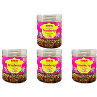 Pack of 4 - Chandan Cranberry Fruit Paan Mouth Freshener - 150 Gm (5.2 Oz)