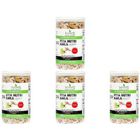 Pack of 4 - Nature's Treat Super Food Vita Nutri Awla - 100 Gm (3.05 Oz)
