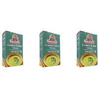 Pack of 3 - Mdh Chutney Podina Masala - 100 Gm (3.5 Oz)