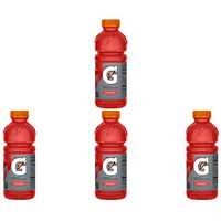 Pack of 4 - Gatorade Fruit Punch Drink - 20 Fl Oz (591 Ml)