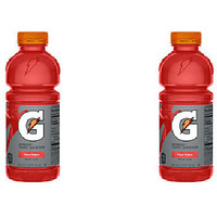 Pack of 2 - Gatorade Fruit Punch Drink - 20 Fl Oz (591 Ml)