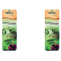 Pack of 2 - Vedic Karela Jamun Juice - 1 L (33.8 Fl Oz)