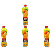 Pack of 4 - Nestle Kinnow Nectar - 1 L (33.8 Fl Oz)
