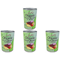 Pack of 4 - Jiva Organics Organic Banana Blossom In Brine - 13 Oz (370 Gm)
