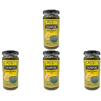 Pack of 4 - Mother's Recipe Panipuri Concentrate - 270 Gm (9.5 Oz)